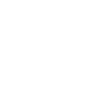 June Aesthetics Logo white
